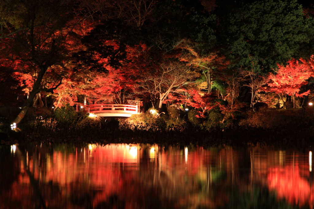 大覚寺のライトアップ