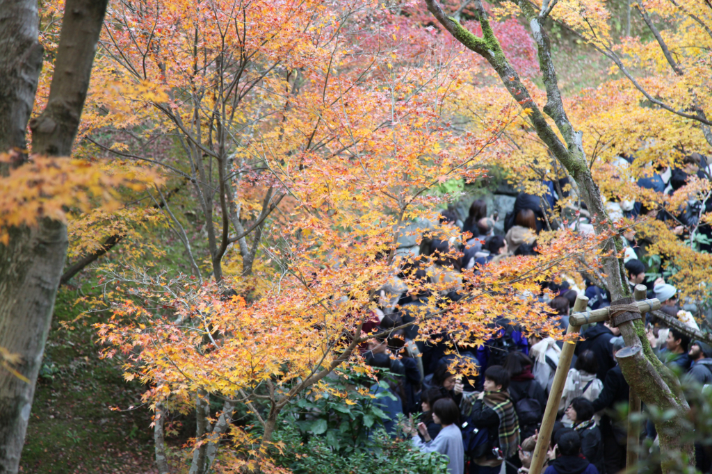 京都の人混み